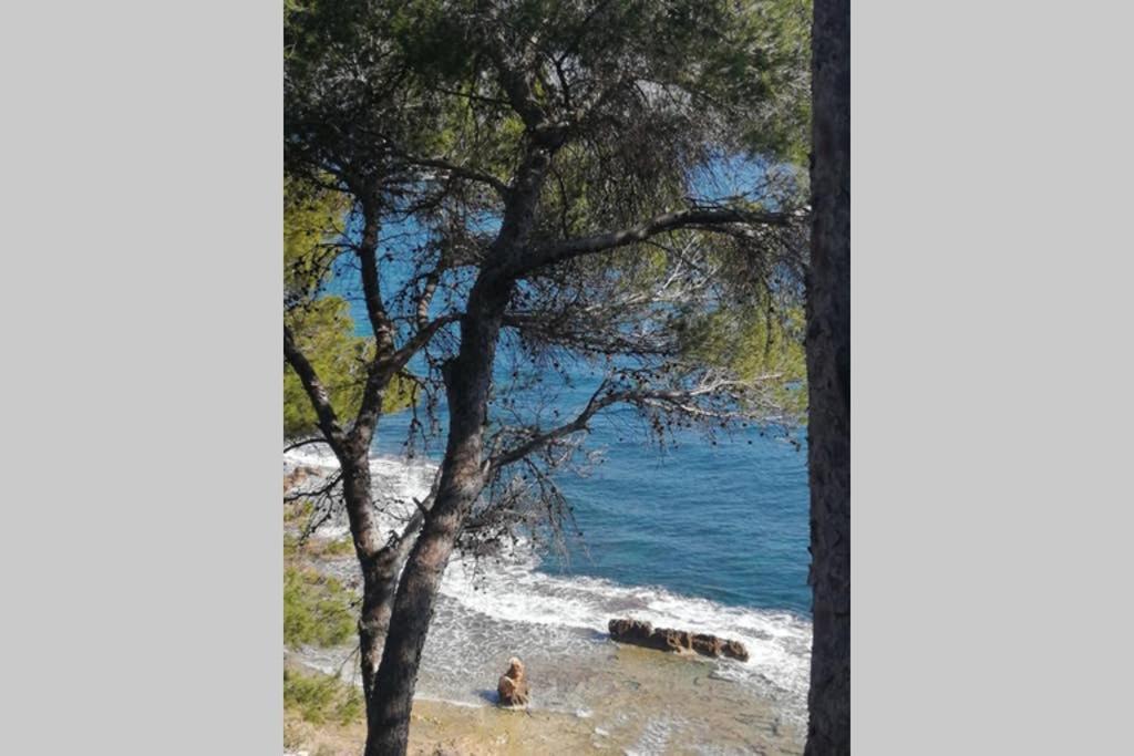 デニア El Poblet 36ヴィラ エクステリア 写真